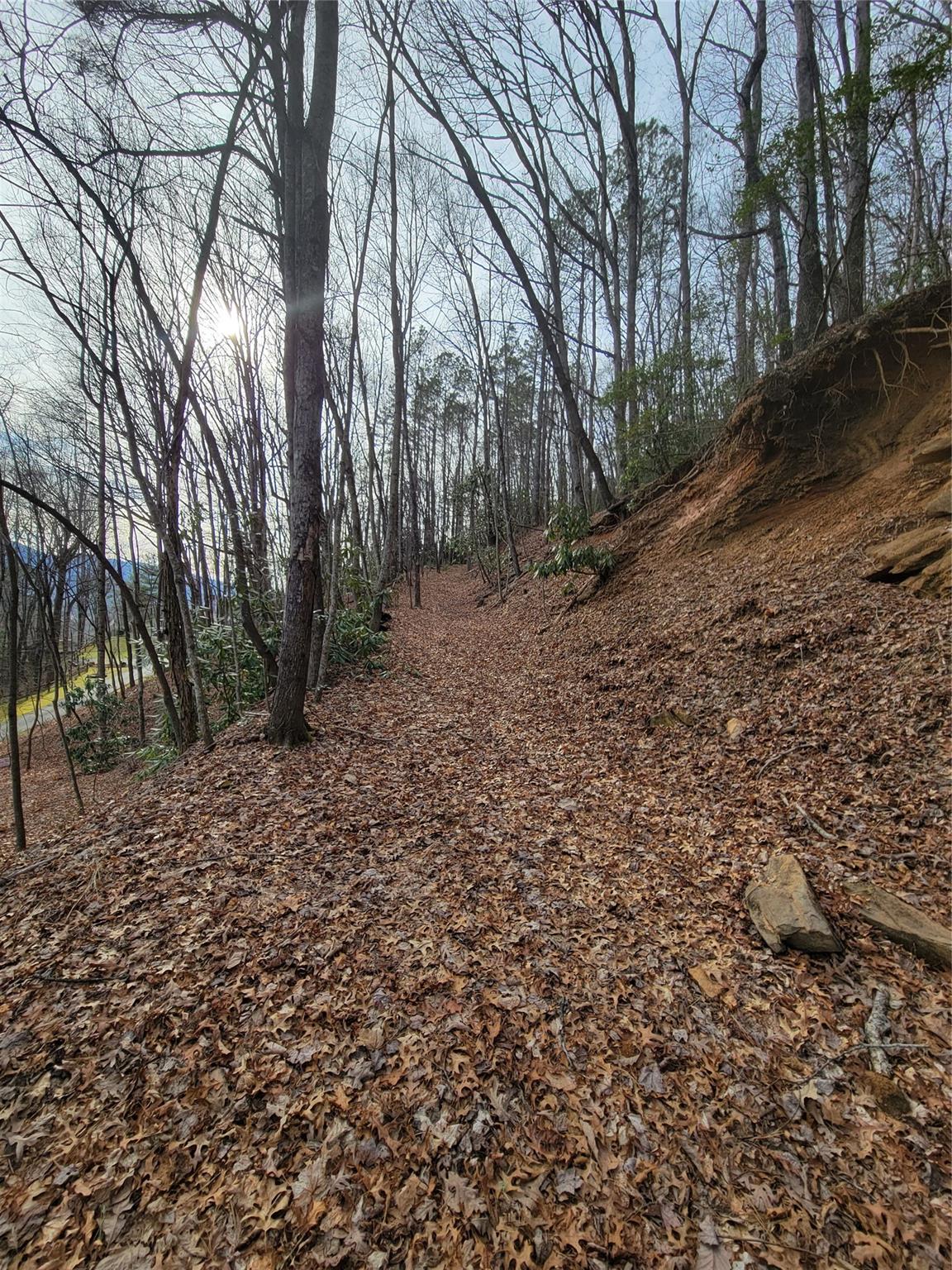 0 Lookout Ter Road Black Mountain, NC 28711 - Photo 5 of 36
