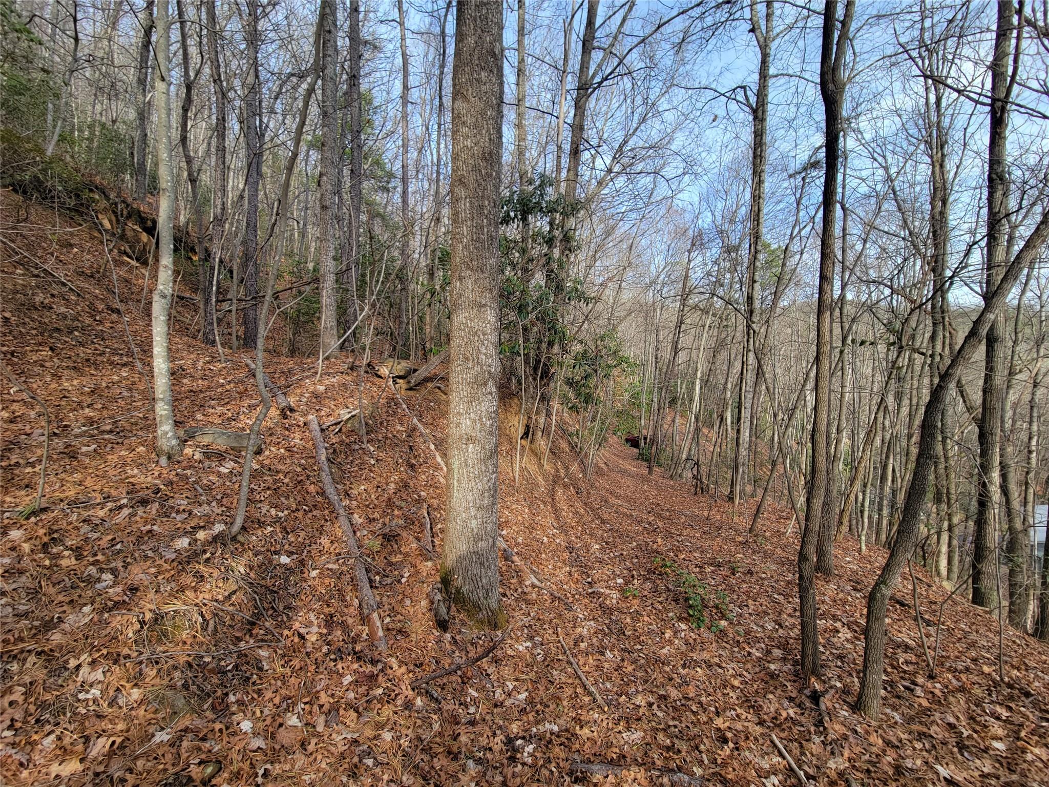0 Lookout Ter Road Black Mountain, NC 28711 - Photo 6 of 36