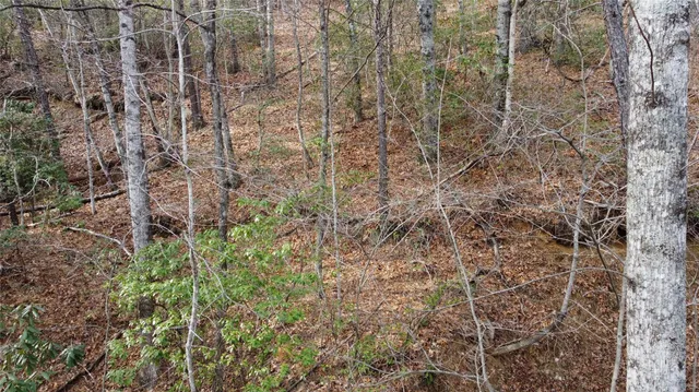 $300,000 | 0 Lookout Ter Road, Black Mountain, NC 28711