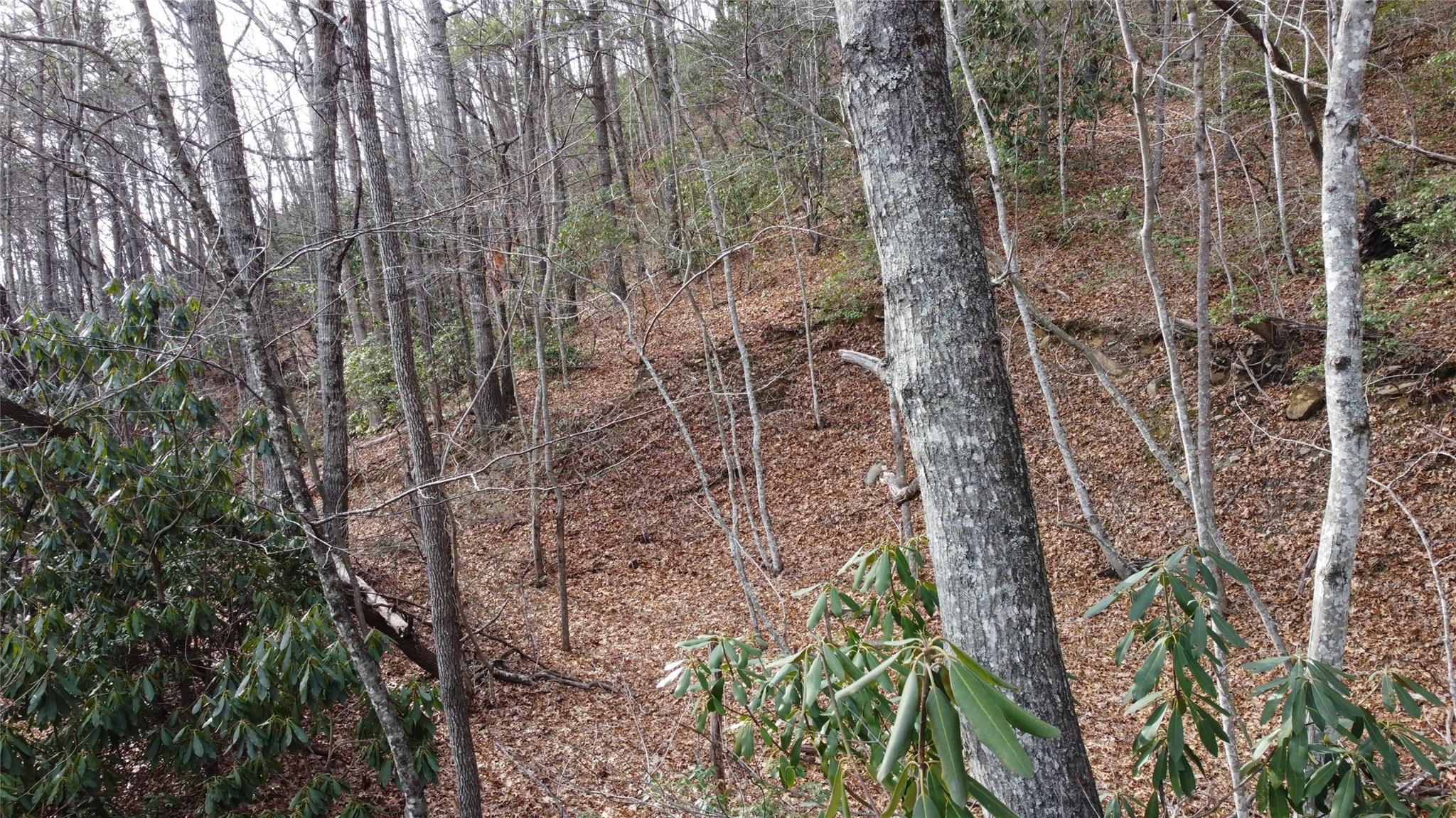 0 Lookout Ter Road Black Mountain, NC 28711 - Photo 8 of 36