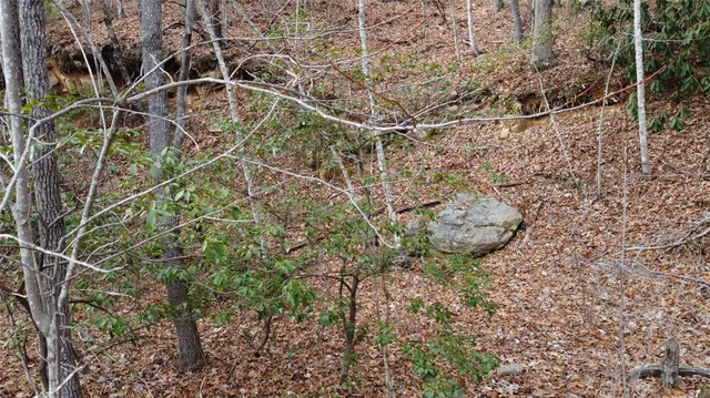 $300,000 | 0 Lookout Ter Road, Black Mountain, NC 28711