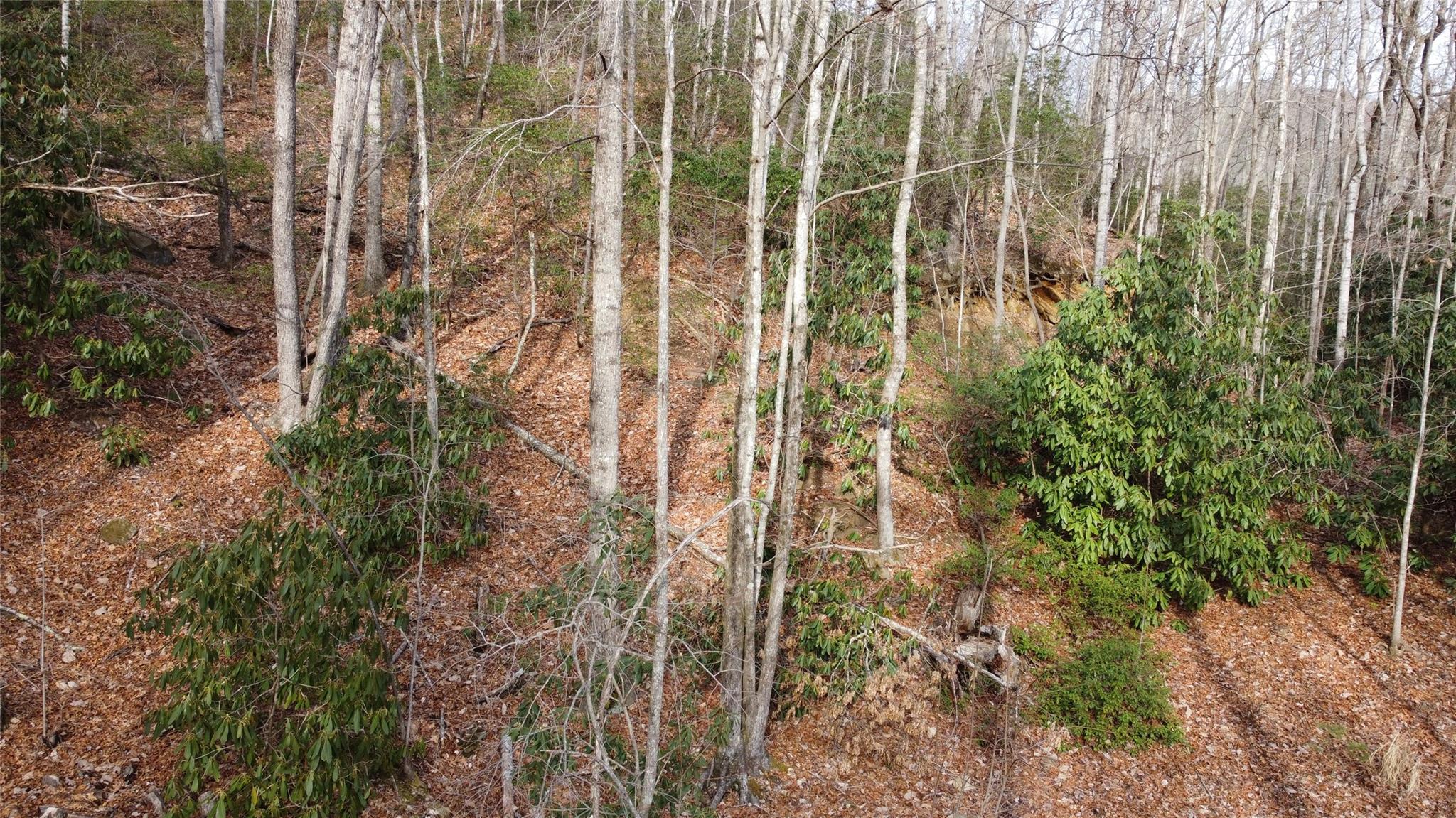 0 Lookout Ter Road Black Mountain, NC 28711 - Photo 10 of 36