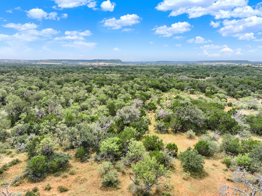 0 Langes Mill Road Doss, TX 78618 - Photo 14 of 15 Gallery Image 14