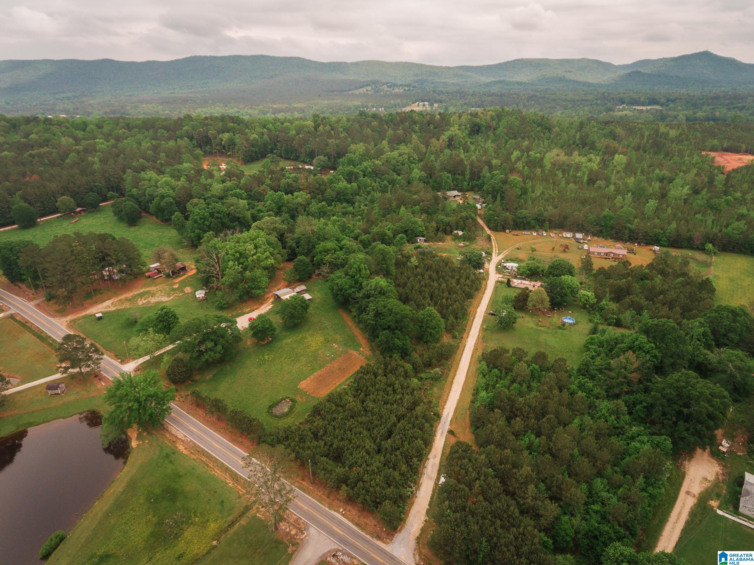 600 Possum Trot Road, Unit 10 34 Piedmont, AL 36272 - Photo 2 of 15