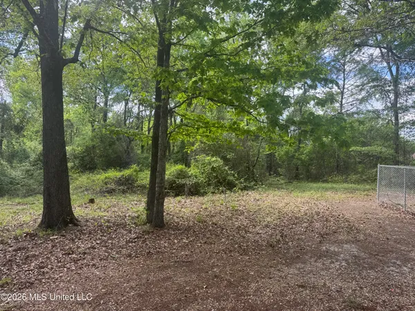 $205,000 | 134 Seldom Seen Cove, Braxton, MS 39044