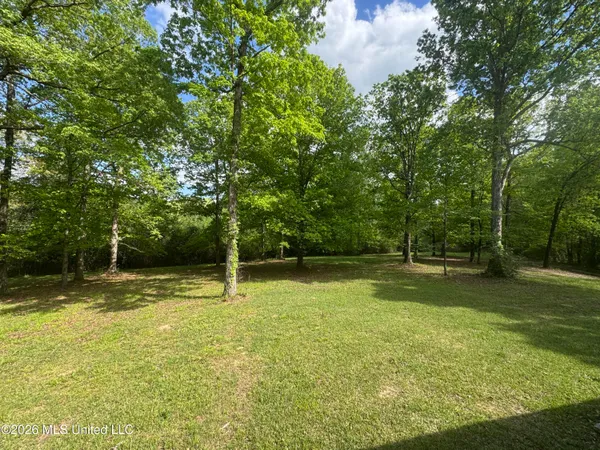 $205,000 | 134 Seldom Seen Cove, Braxton, MS 39044
