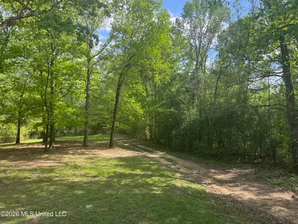 $205,000 | 134 Seldom Seen Cove, Braxton, MS 39044
