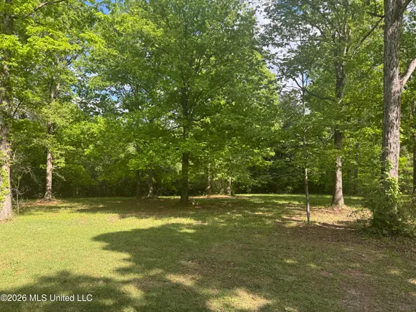 $205,000 | 134 Seldom Seen Cove, Braxton, MS 39044