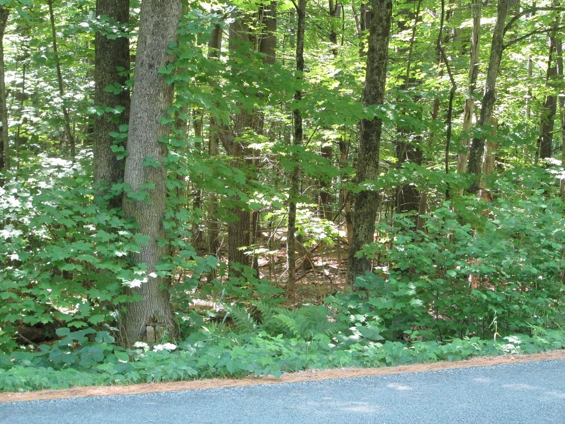 0 Old Chesterfield Road Winchester, NH 03470 - Photo 1 of 3