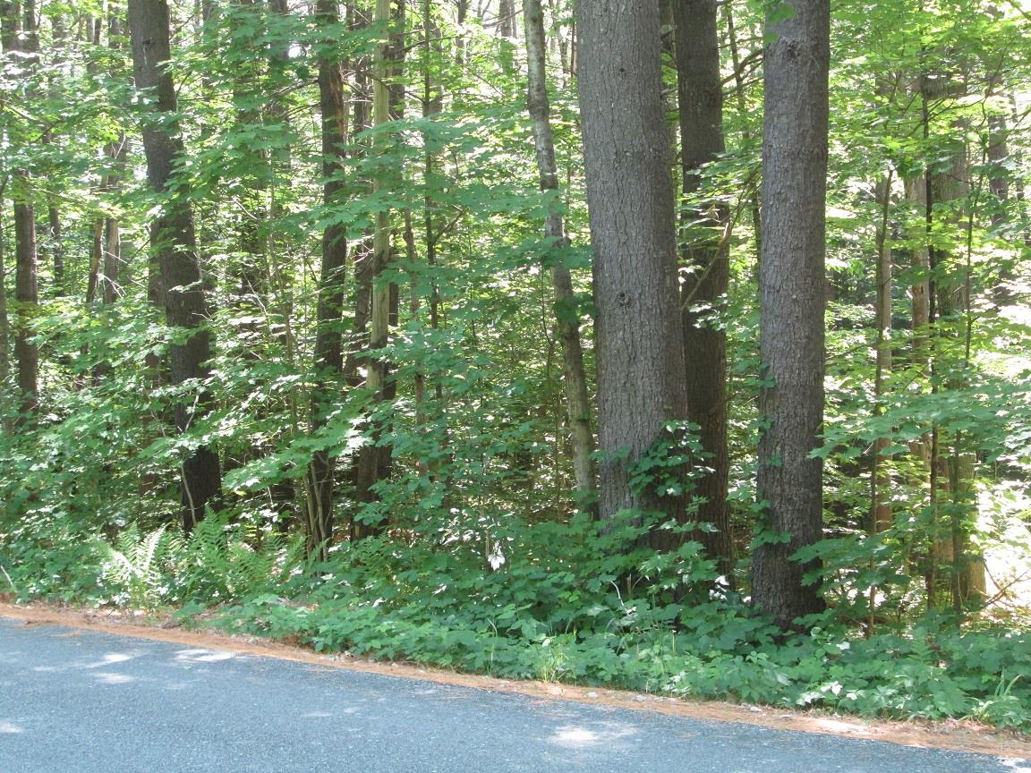 0 Old Chesterfield Road Winchester, NH 03470 - Photo 2 of 3