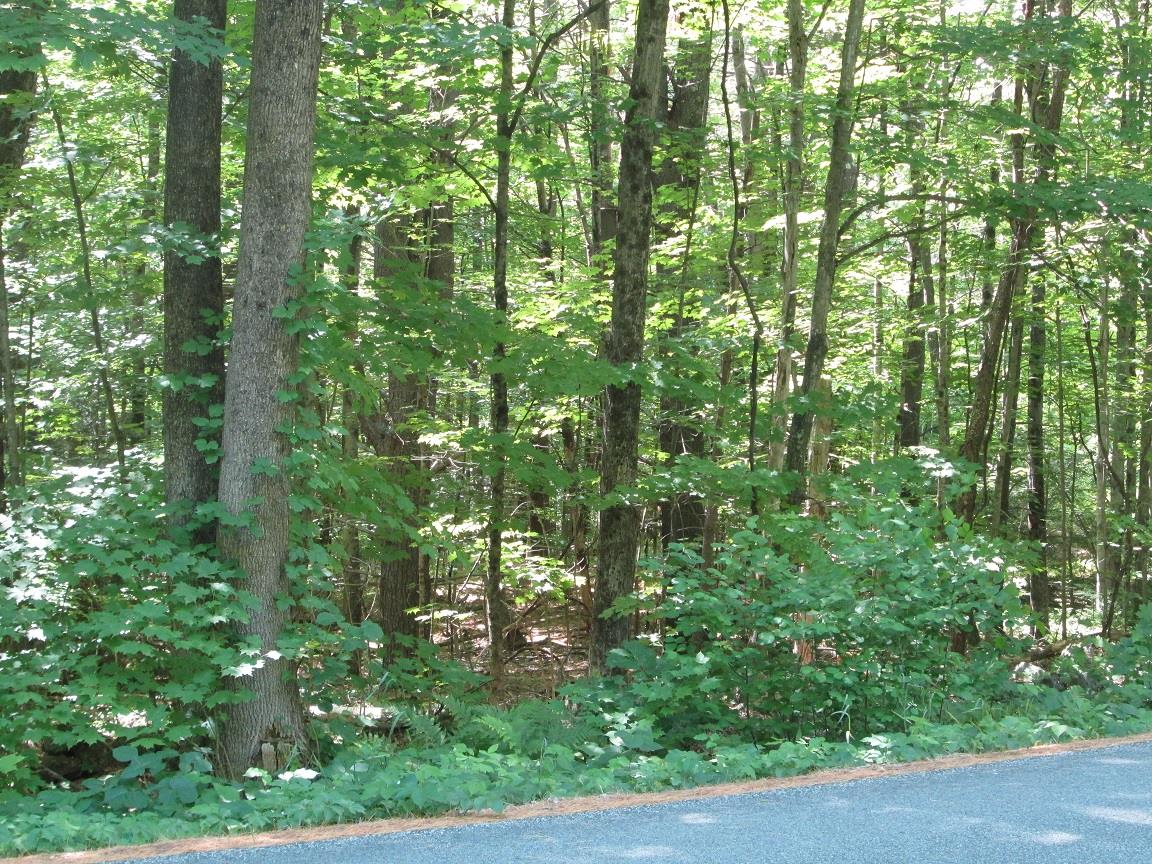 0 Old Chesterfield Road Winchester, NH 03470 - Photo 3 of 3