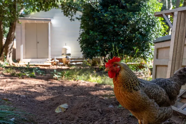 $534,900 | 427 Ransdell Drive, Spartanburg, SC 29307