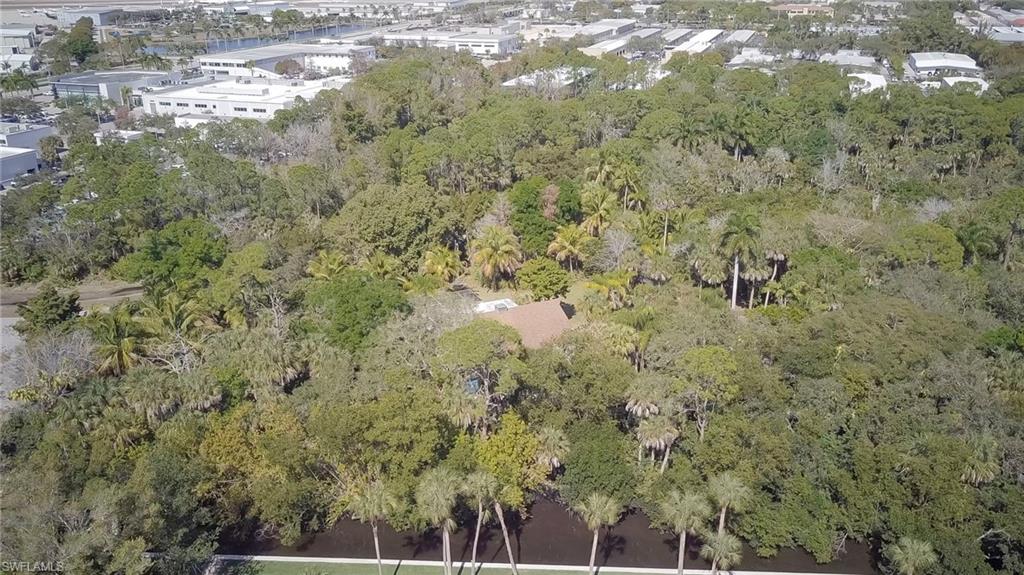 3550 Hazel Road Naples, FL 34104 - Photo 41 of 43 a view of a forest with a tree