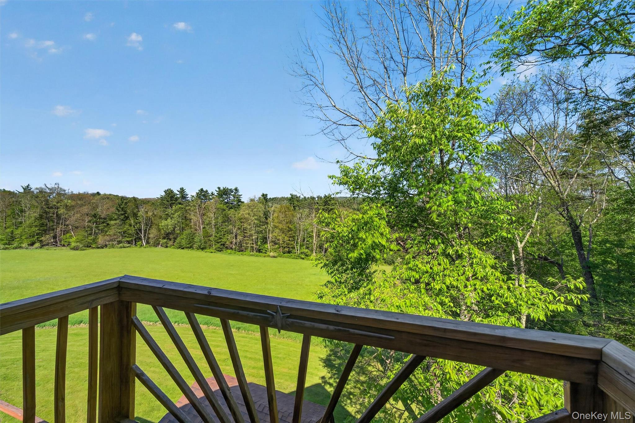 340 Hospital Road Callicoon, NY 12723 - Photo 22 of 41 a view of a green space with a forest