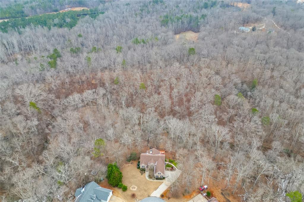 124 Edgewater Court Braselton, GA 30517 - Photo 53 of 54 a backyard of a house with lots of green space and plants