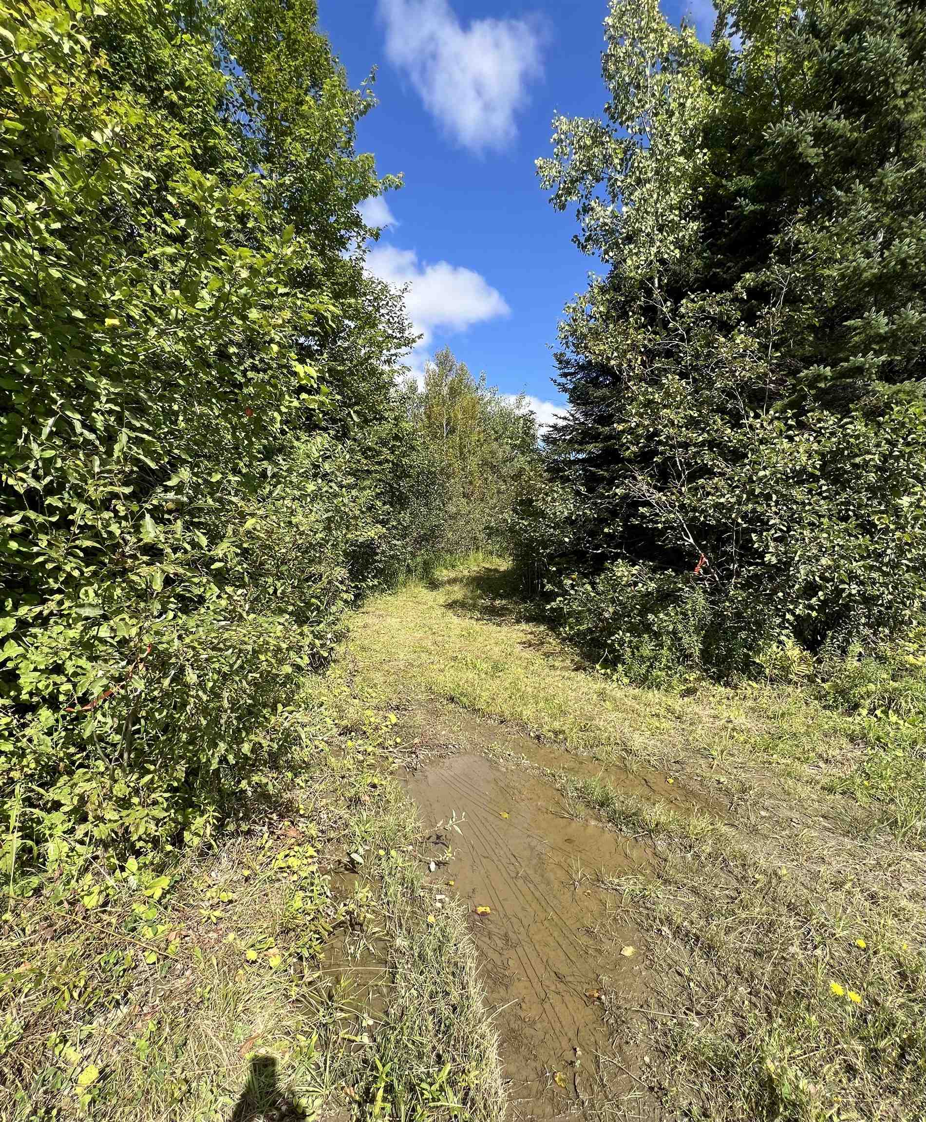 2212 Dane Hill Road Charleston, VT 05872 - Photo 4 of 6 Gallery Image 4