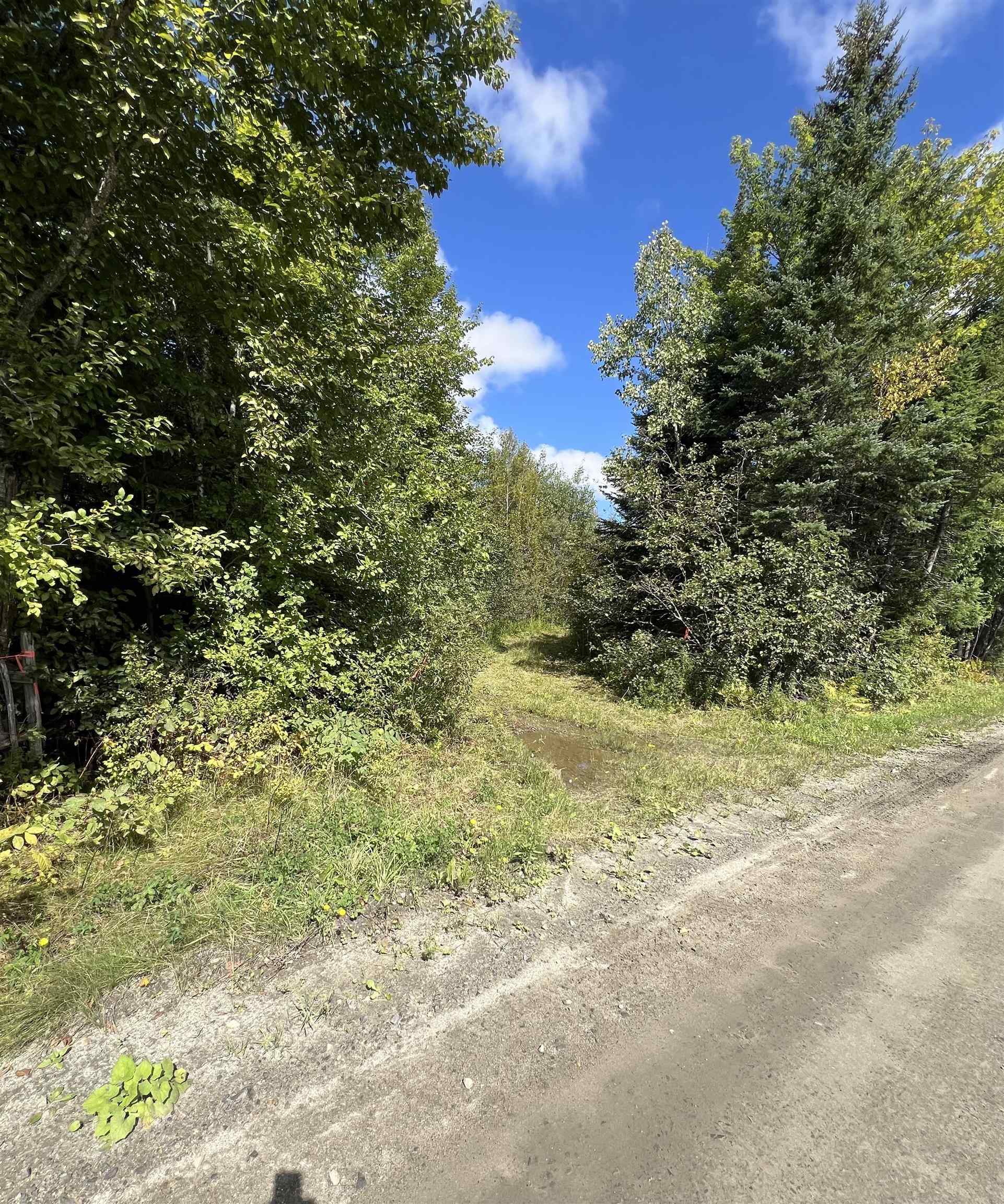 2212 Dane Hill Road Charleston, VT 05872 - Photo 5 of 6 Gallery Image 5