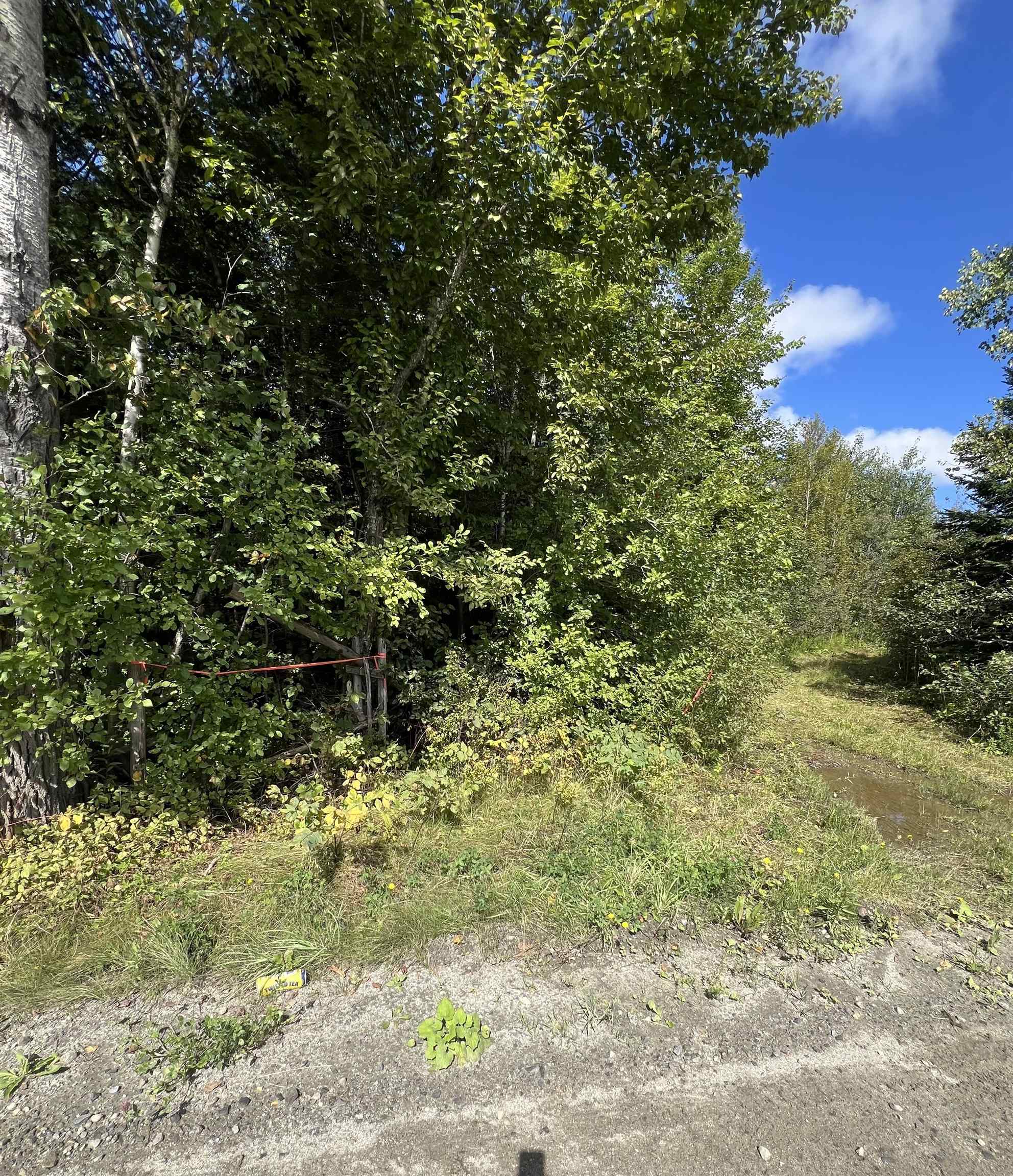 2212 Dane Hill Road Charleston, VT 05872 - Photo 6 of 6 Gallery Image 6
