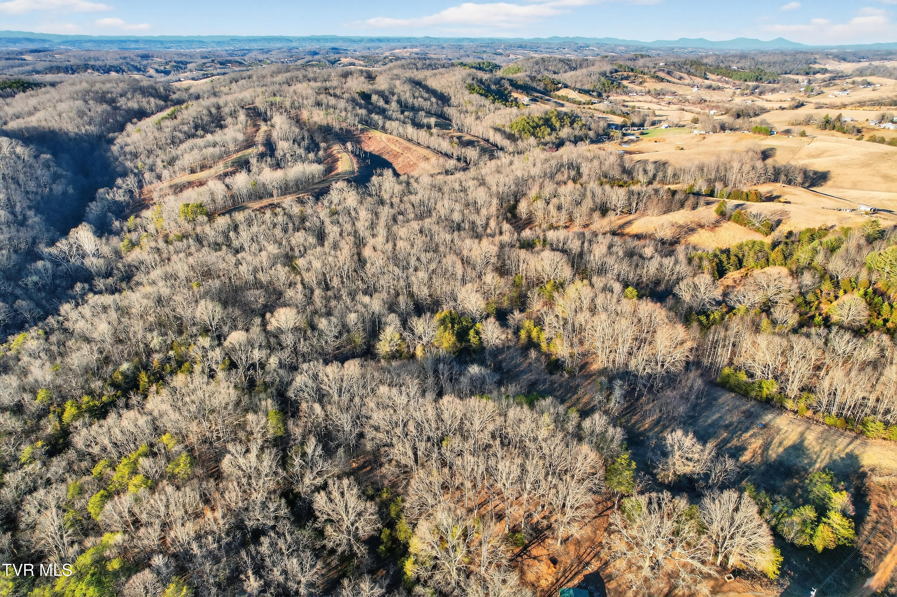 1434 Pates Hill Road, Unit 8 Mosheim, TN 37818 - Photo 3 of 9 06-1434-Pates-Hill-Rd-WindowStill