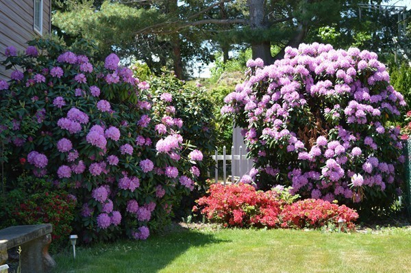 26 Circle Hill Road Salem, MA 01970 - Photo 13 of 13 Gallery Image 13