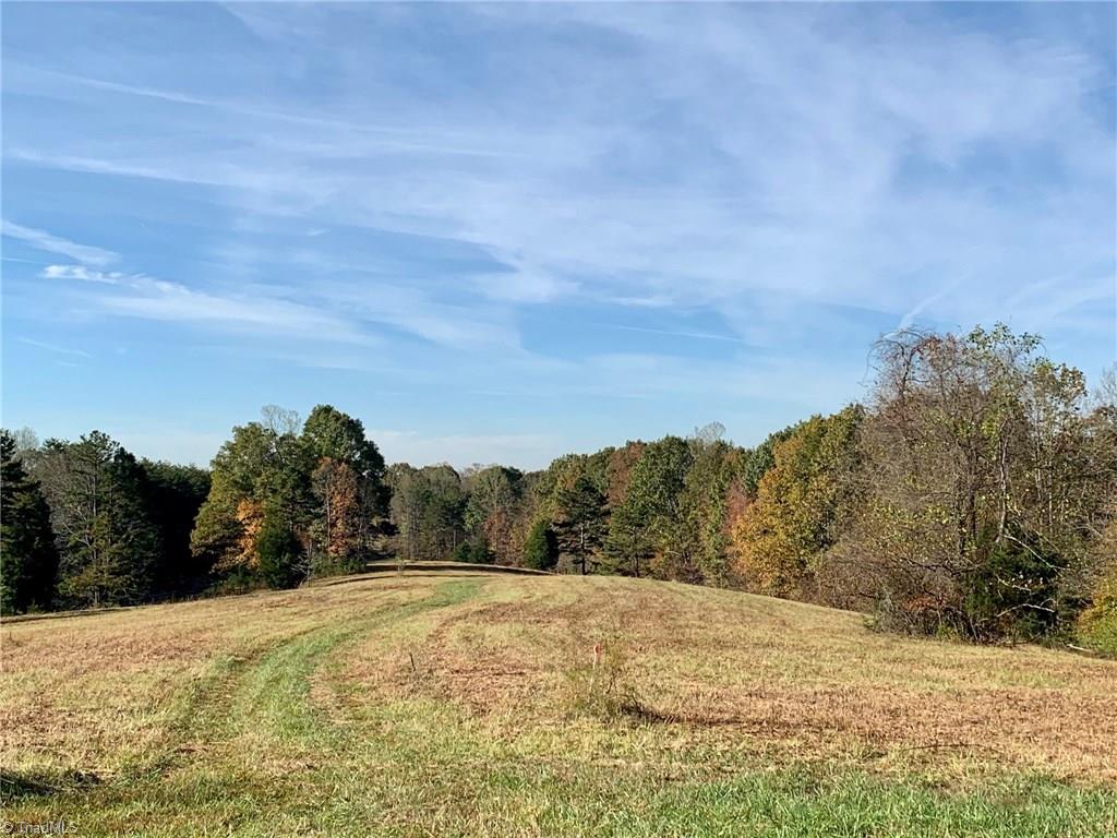 1350 Bolejack Road Germanton, NC 27019 - Photo 1 of 24