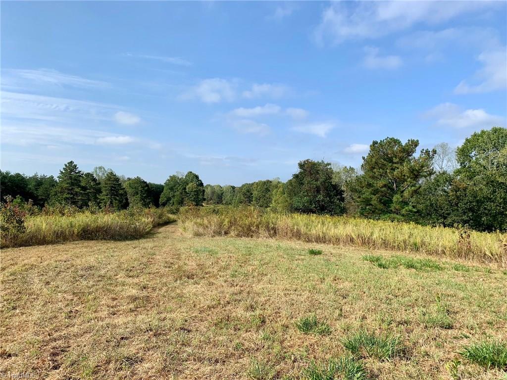 1350 Bolejack Road Germanton, NC 27019 - Photo 4 of 24