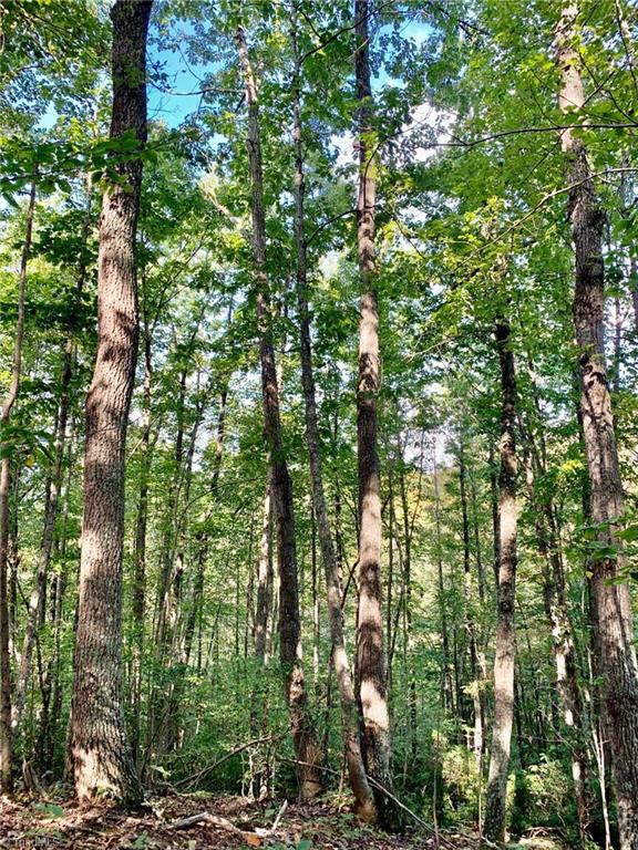 1350 Bolejack Road Germanton, NC 27019 - Photo 5 of 24