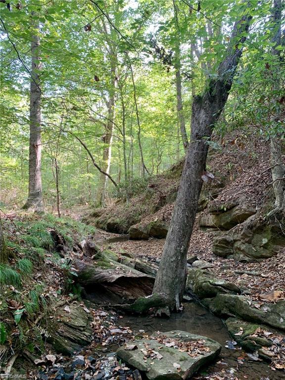 1350 Bolejack Road Germanton, NC 27019 - Photo 6 of 24