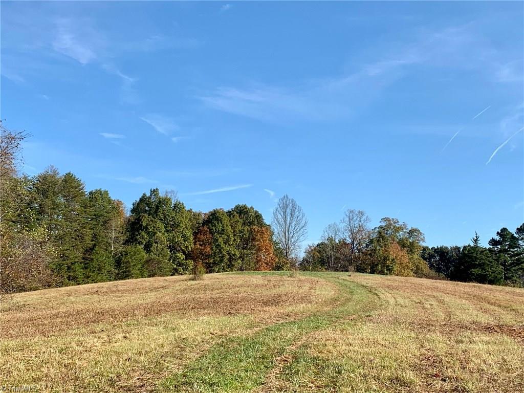 1350 Bolejack Road Germanton, NC 27019 - Photo 8 of 24