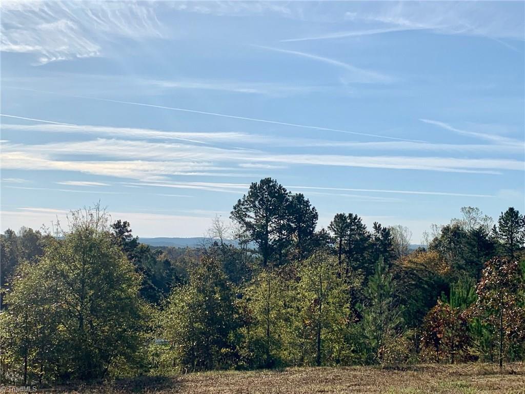 1350 Bolejack Road Germanton, NC 27019 - Photo 9 of 24