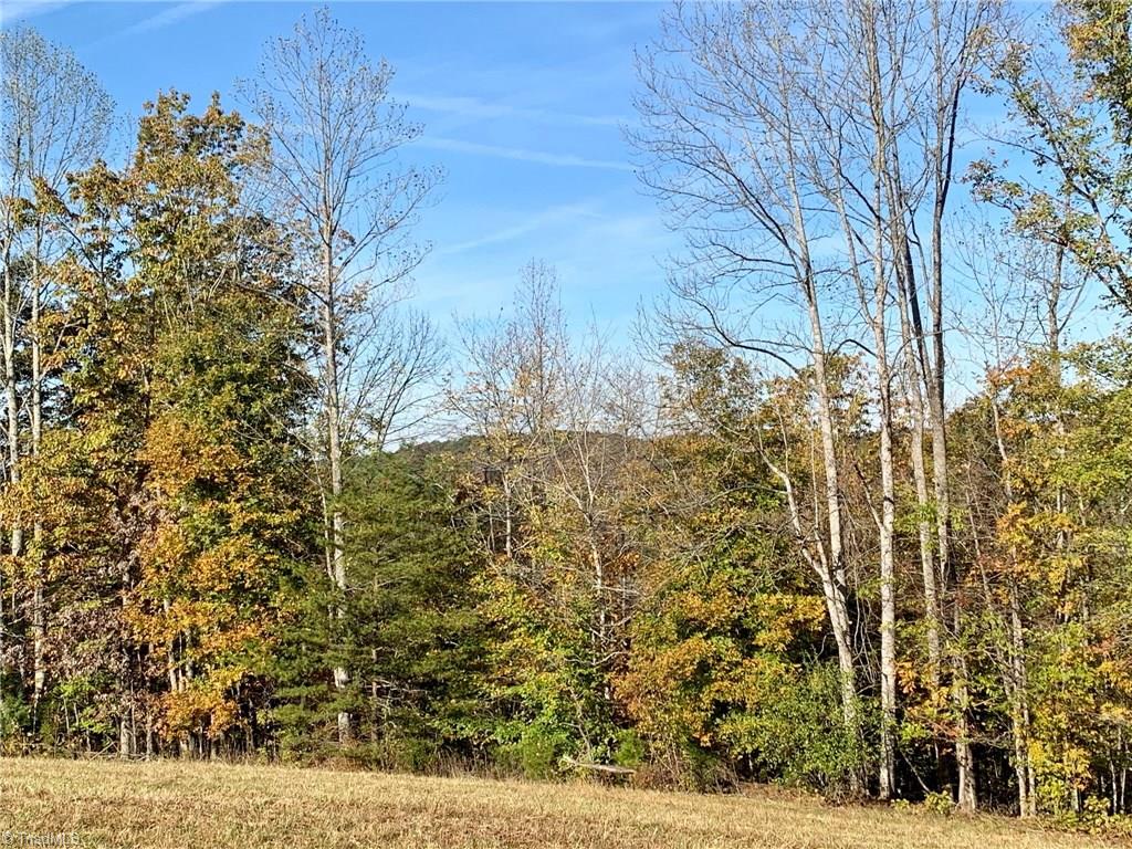 1350 Bolejack Road Germanton, NC 27019 - Photo 10 of 24