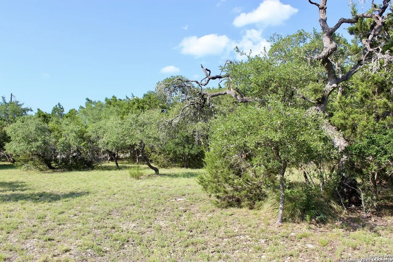 197 Rosenberry Bulverde, TX 78163 - Photo 9 of 11