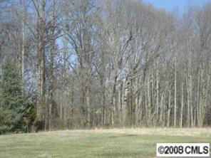 Lot 4 Kendrick Road Gastonia, NC 28056 - Photo 3 of 6 Gallery Image 3