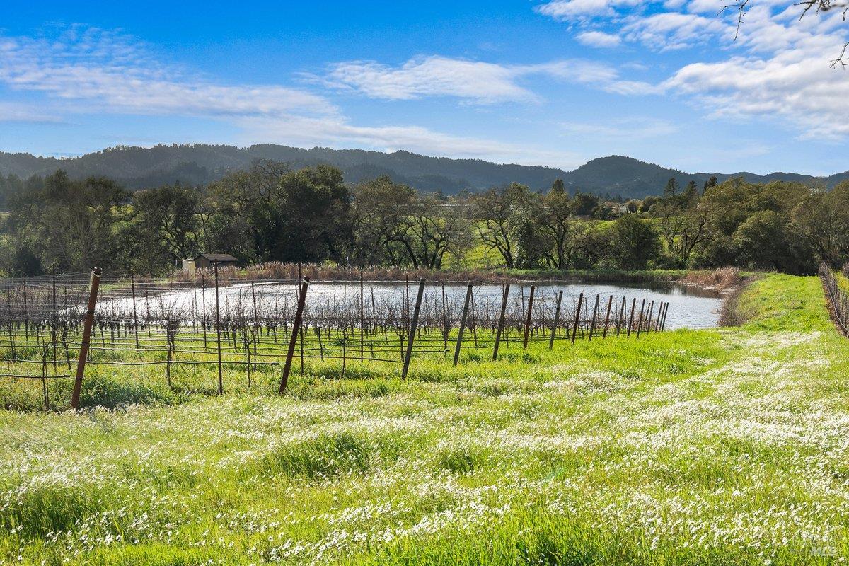 910-920 Lytton Springs Road Healdsburg, CA 95448 - Photo 51 of 59 Gallery Image 51
