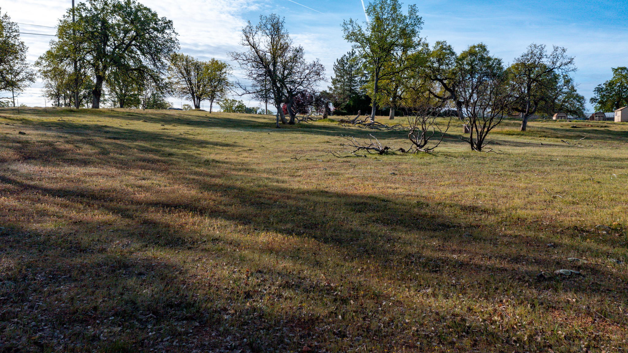 1090 Gibralter Road Redding, CA 96003 - Photo 8 of 10 a view of outdoor space with trees
