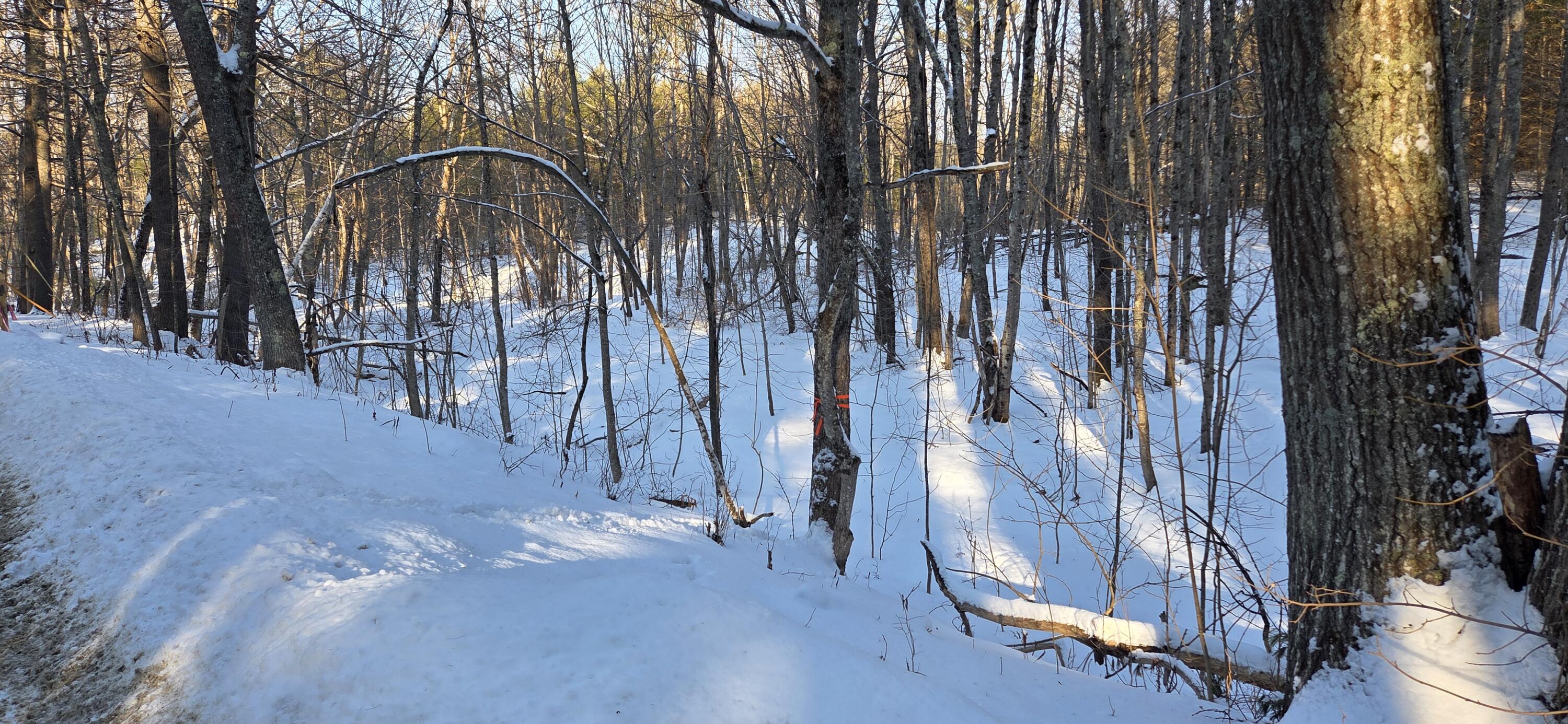 M14-l23a Ferry Road Orrington, ME 04474 - Photo 11 of 13 20260122_143839