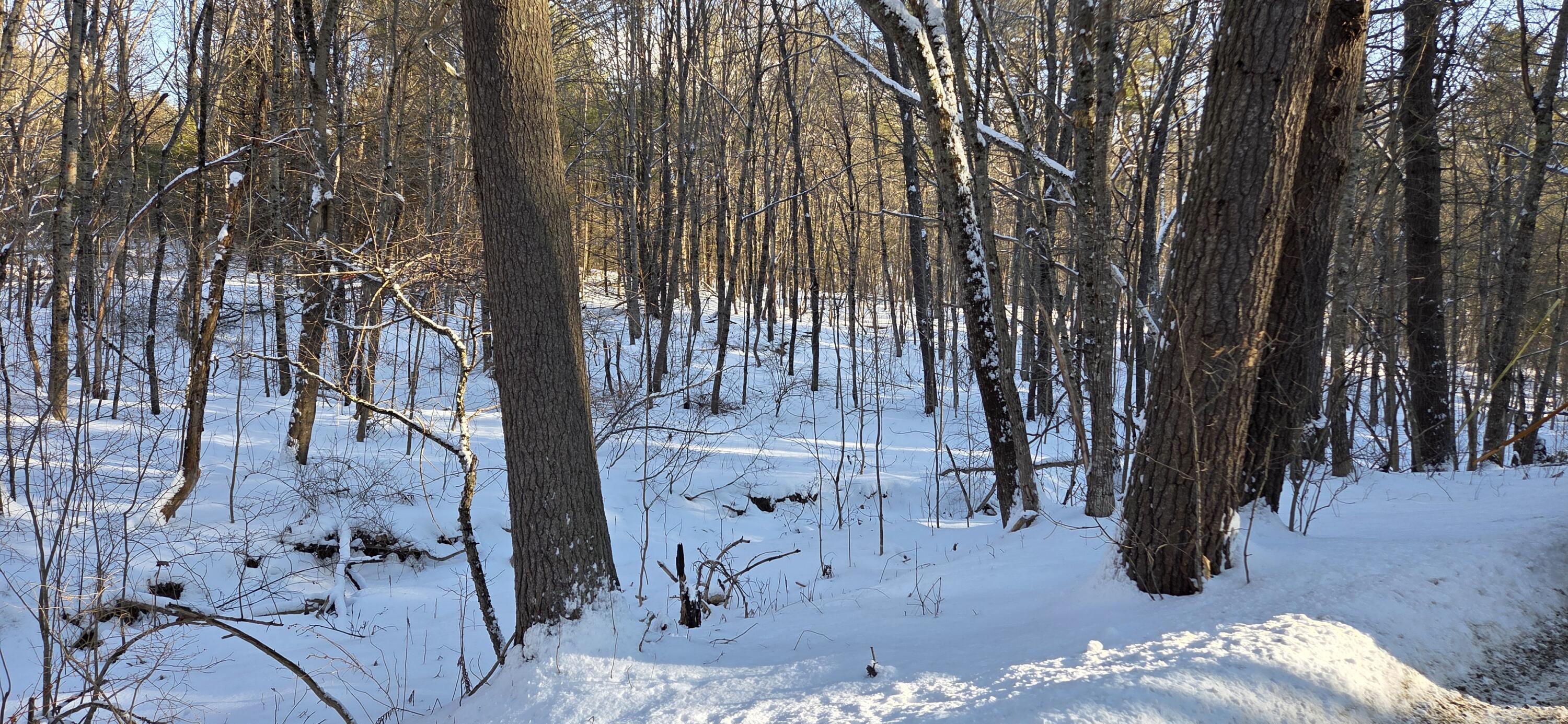 M14-l23a Ferry Road Orrington, ME 04474 - Photo 3 of 13 20260122_140923