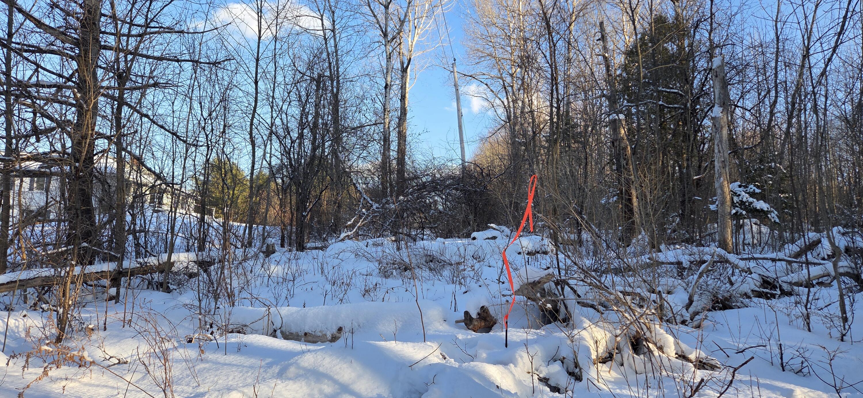 M14-l23a Ferry Road Orrington, ME 04474 - Photo 5 of 13 20260122_143014