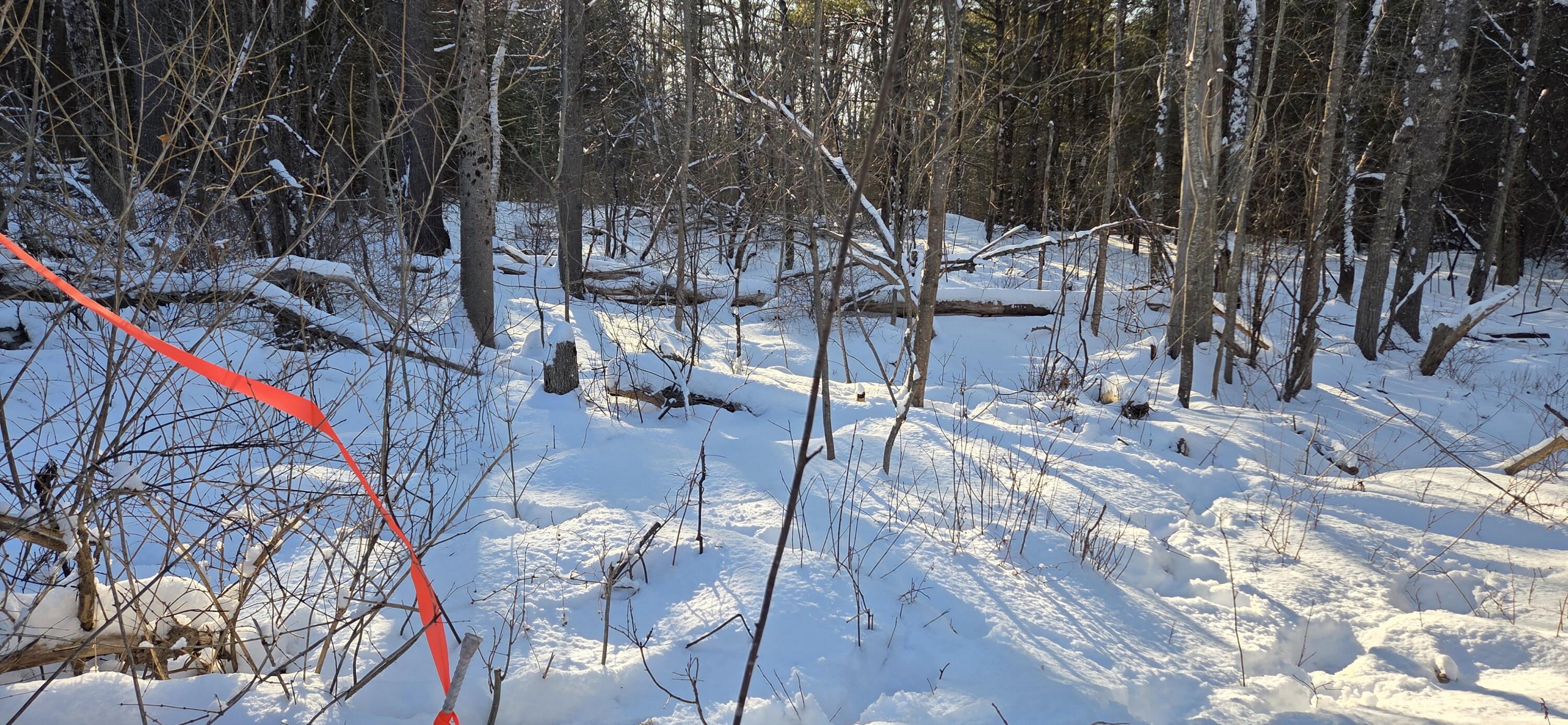 M14-l23a Ferry Road Orrington, ME 04474 - Photo 6 of 13 20260122_143030