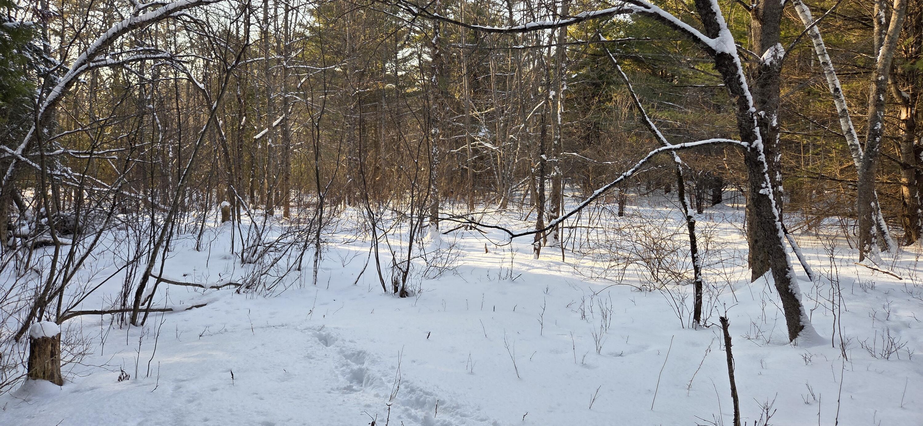 M14-l23a Ferry Road Orrington, ME 04474 - Photo 8 of 13 20260122_143116