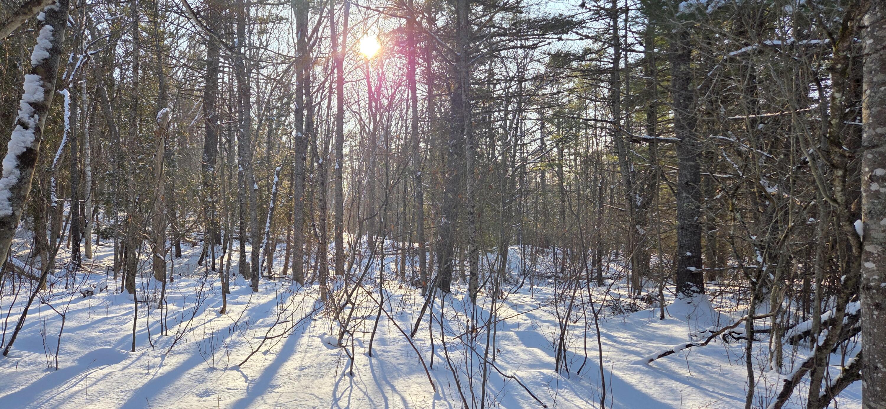 M14-l23a Ferry Road Orrington, ME 04474 - Photo 9 of 13 20260122_143149