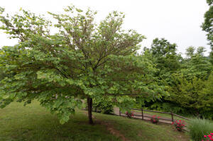 2924 Roberts Bend Road Burnside, KY 42519 - Photo 49 of 49 20210606185340239235000000
