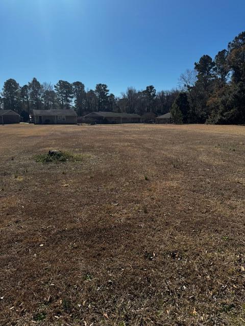 Tbd West Huggins Street Manning, SC 29102 - Photo 5 of 6
