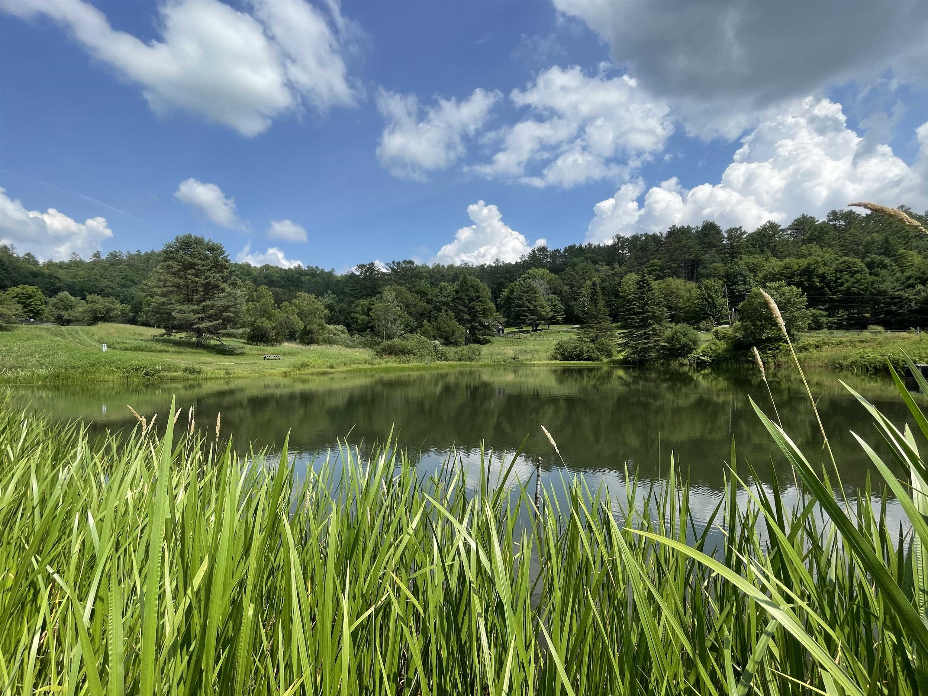 59 Mountain Meadows Road Lyman, NH 03585 - Photo 5 of 29