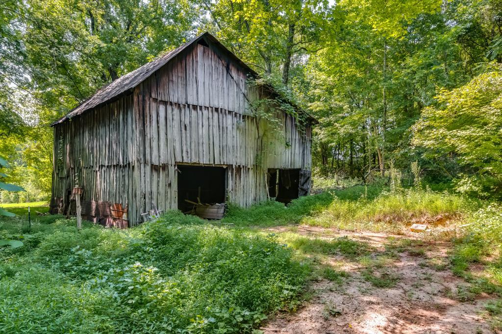 2890 Sweethome Road Chapmansboro, TN 37035 - Photo 20 of 28 Gallery Image 20