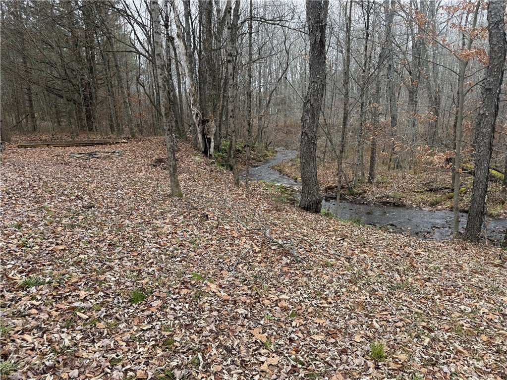 1-8 South Worcester Hill Road Harpersfield, NY 12093 - Photo 6 of 11