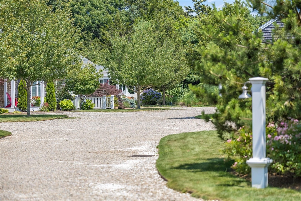 950 Massasoit Road, Unit 3 Eastham, MA 02642 - Photo 4 of 42 a view of a garden with plants