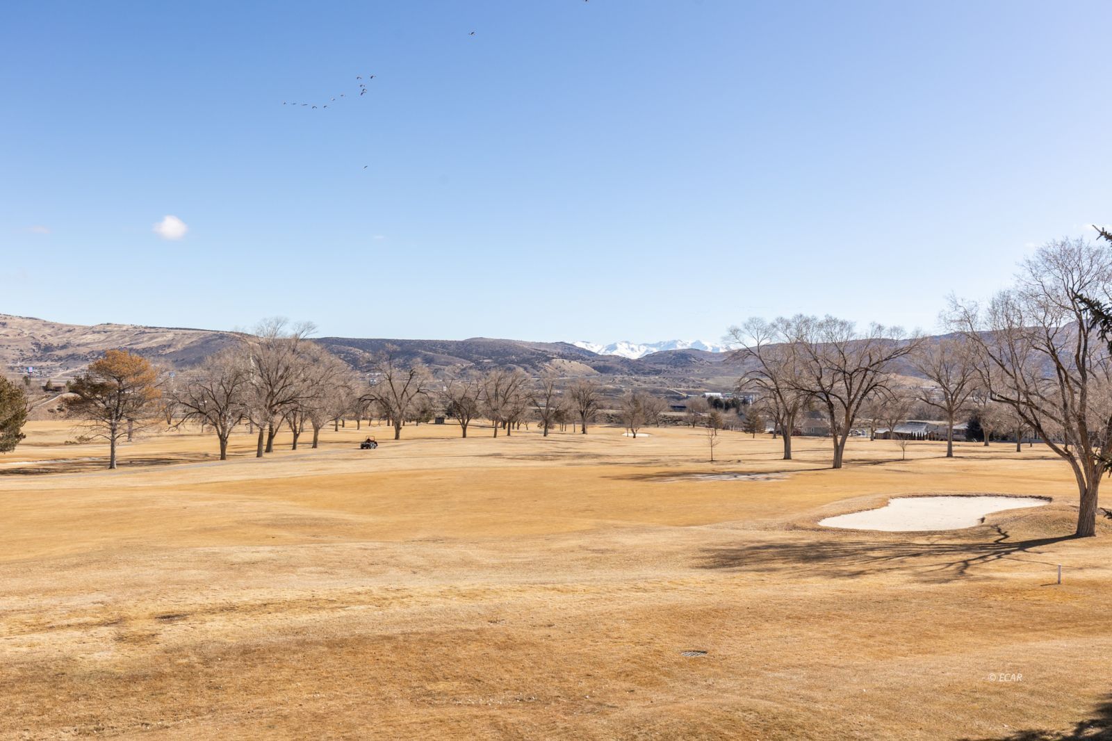 1910 Ruby View Drive Elko, NV 89801 - Photo 26 of 50 Gallery Image 26