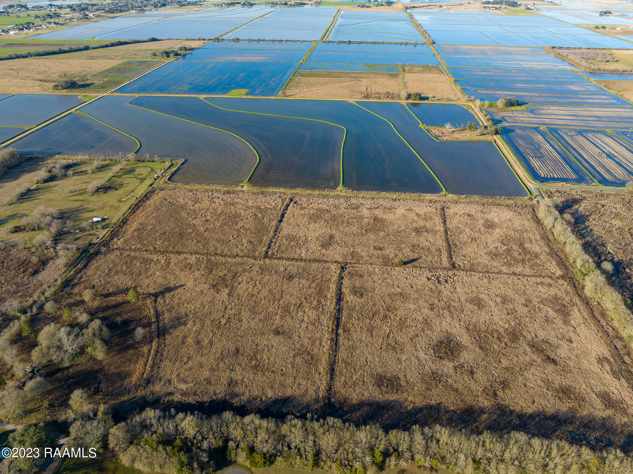 Tbd Napoleon Street Mamou, LA 70554 - Photo 9 of 9 DJI_0707