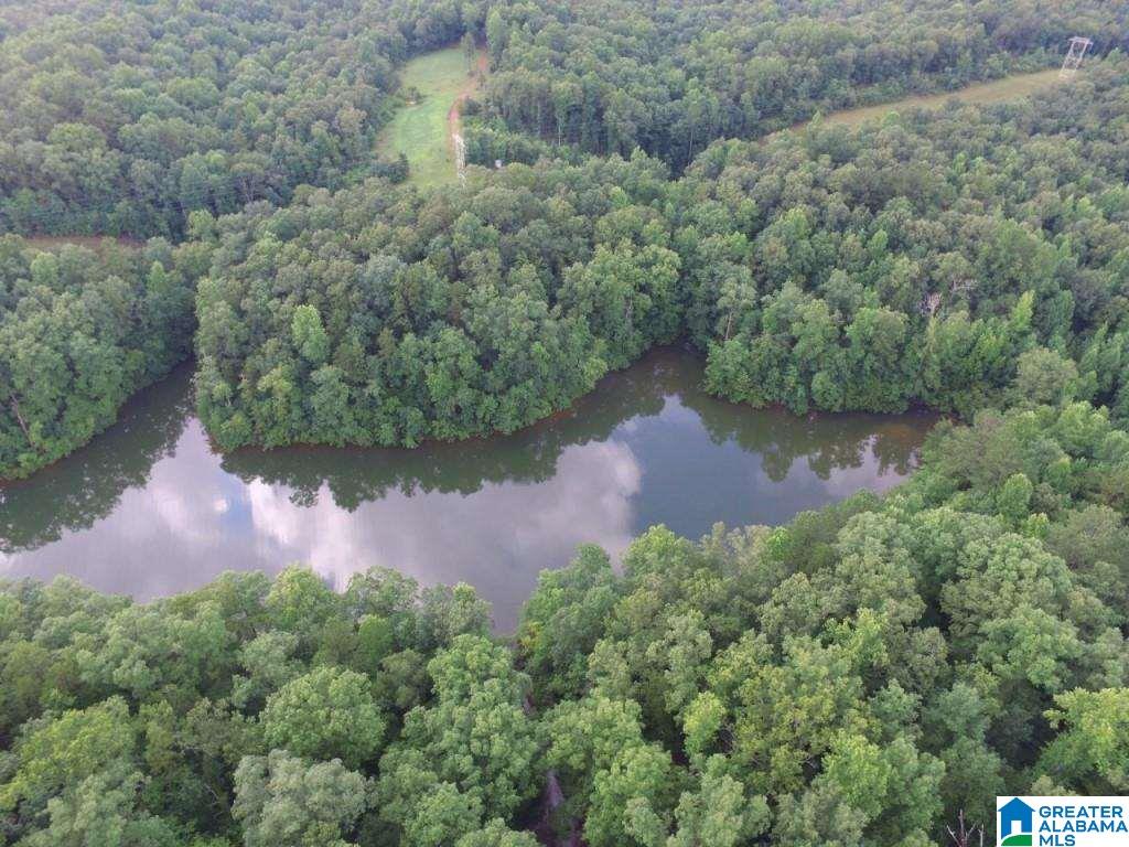 99 County Road, Unit 39 Wedowee, AL 36278 - Photo 7 of 11